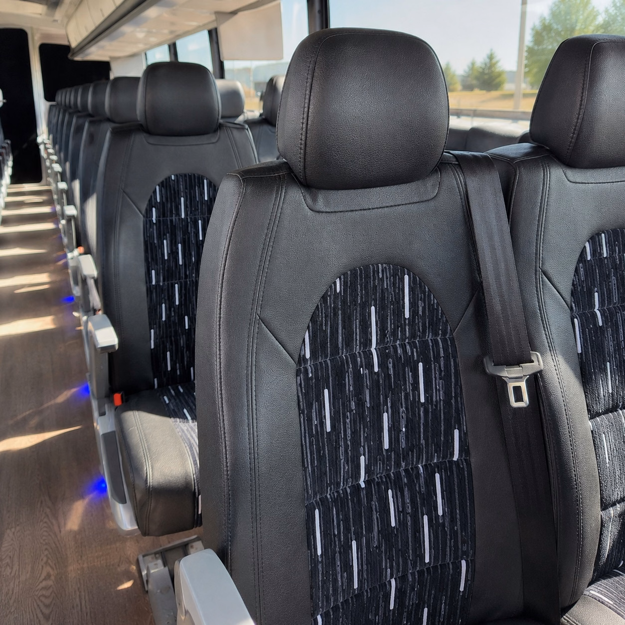 compare buses in minutes not days